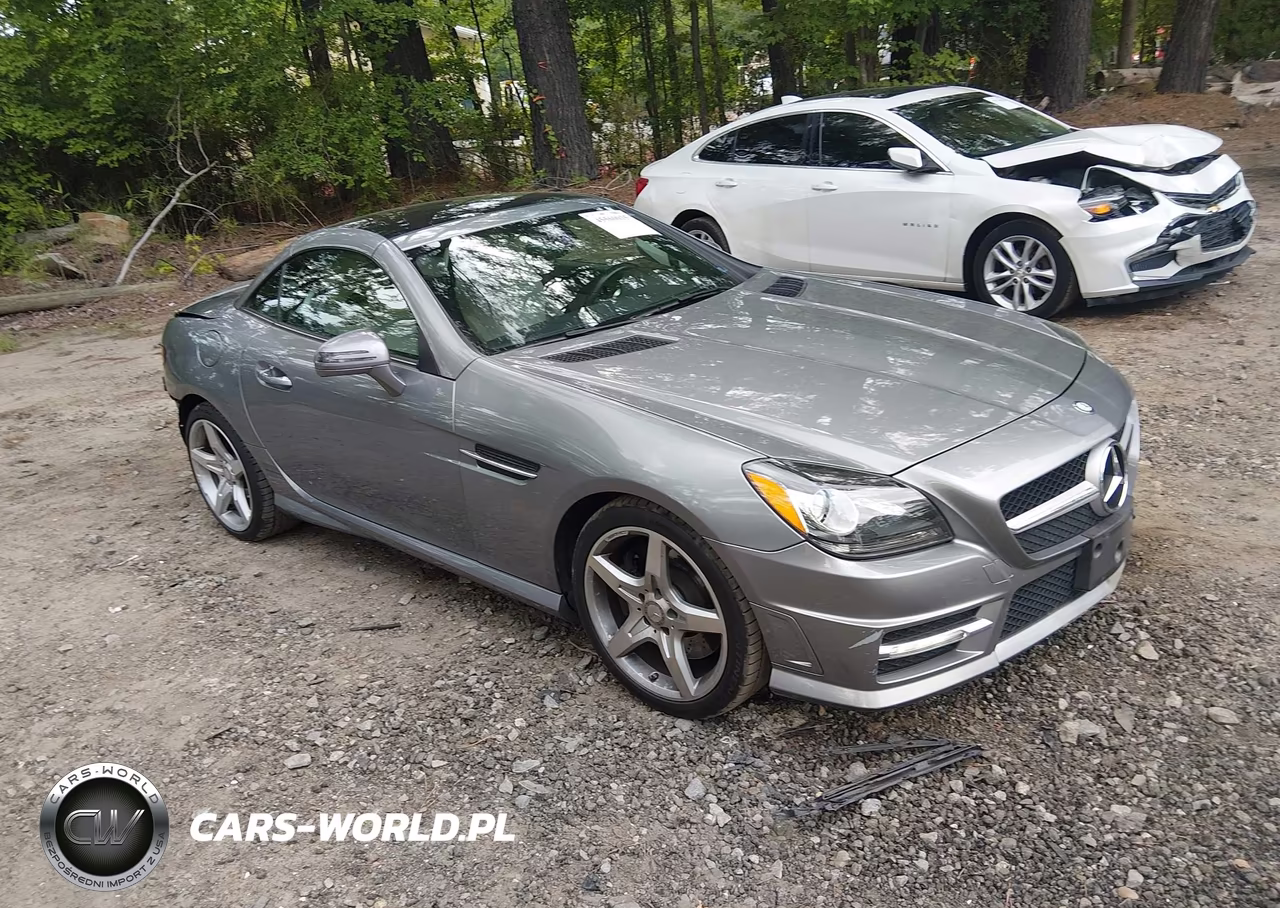 2014 Mercedes-Benz Slk 250