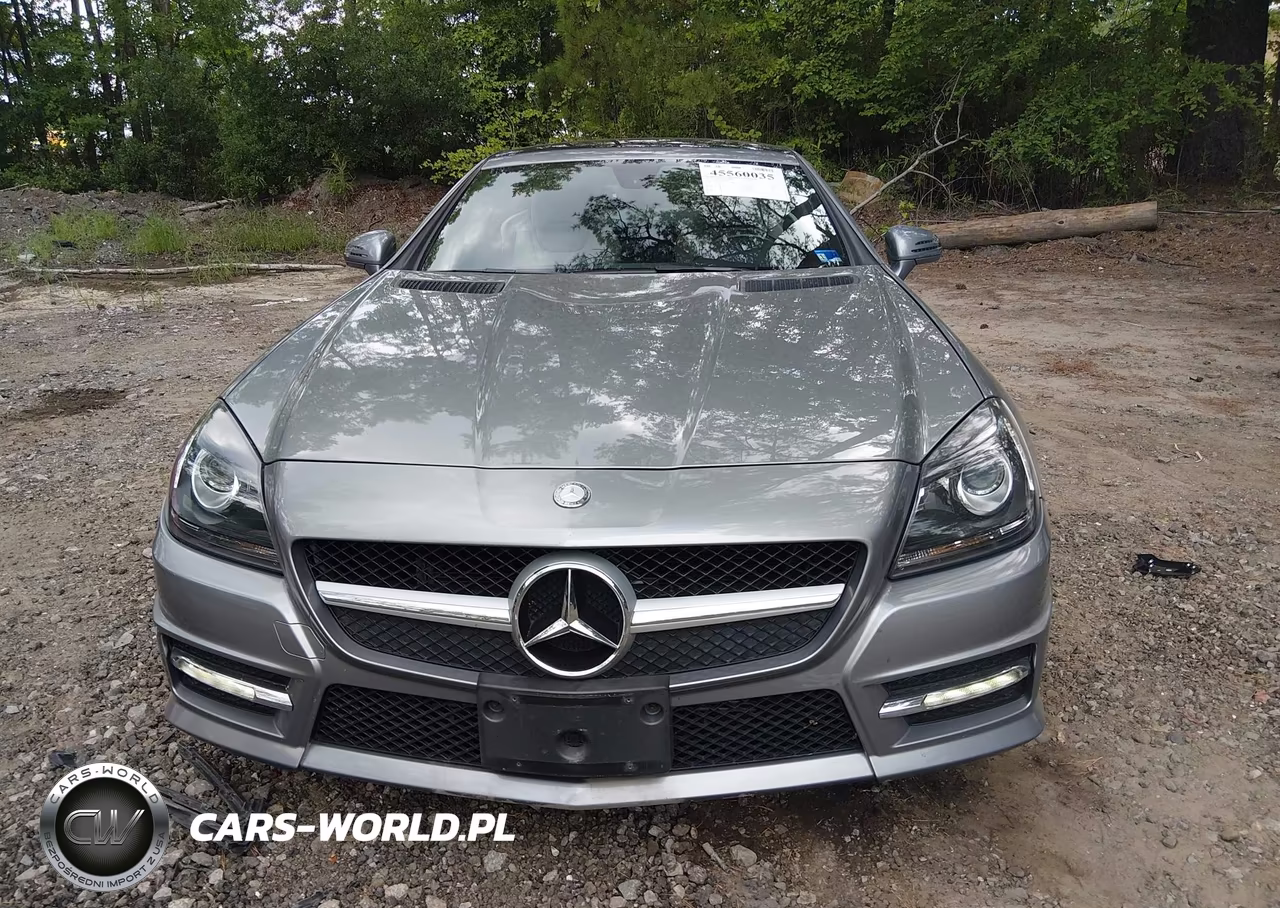 2014 Mercedes-Benz Slk 250 VIN:WDDPK4HA6EF074689 - 12