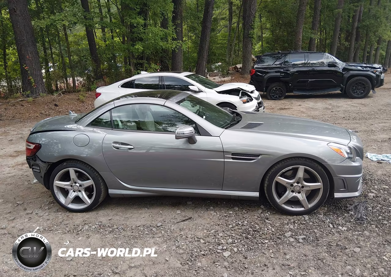 2014 Mercedes-Benz Slk 250 VIN:WDDPK4HA6EF074689 - 13