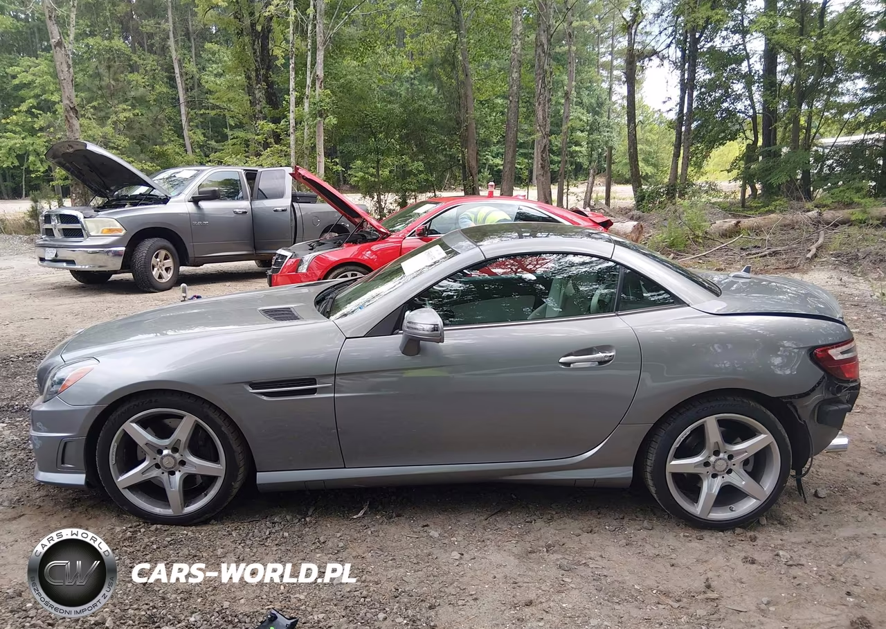2014 Mercedes-Benz Slk 250 VIN:WDDPK4HA6EF074689 - 14