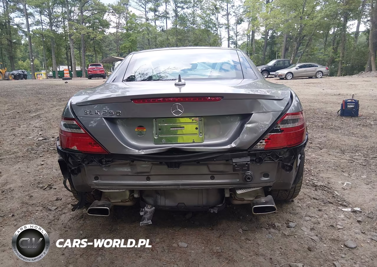 2014 Mercedes-Benz Slk 250 VIN:WDDPK4HA6EF074689 - 16