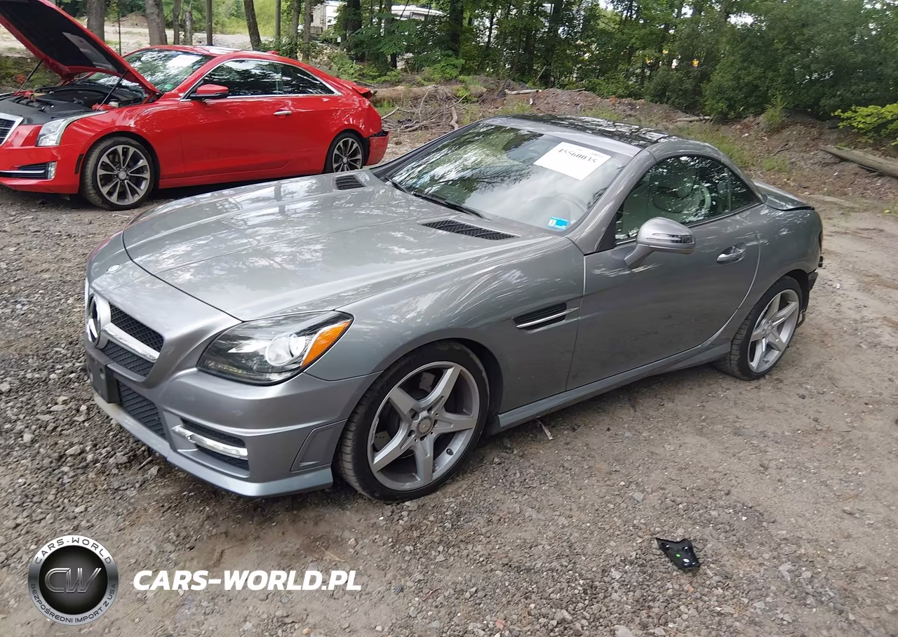 2014 Mercedes-Benz Slk 250 VIN:WDDPK4HA6EF074689 - 2