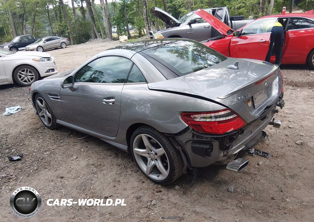 2014 Mercedes-Benz Slk 250 VIN:WDDPK4HA6EF074689 - 3