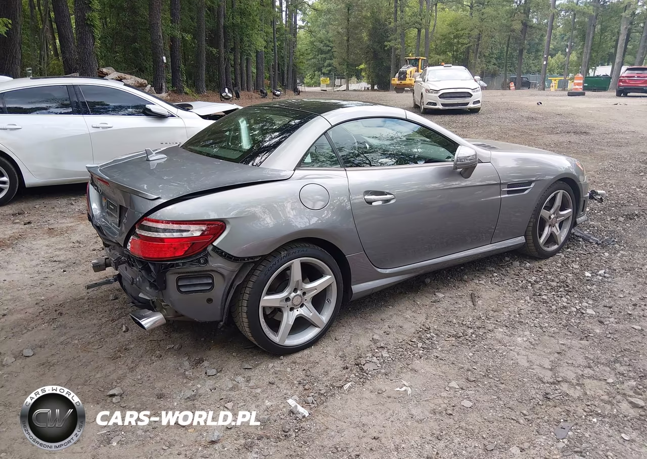 2014 Mercedes-Benz Slk 250 VIN:WDDPK4HA6EF074689 - 4