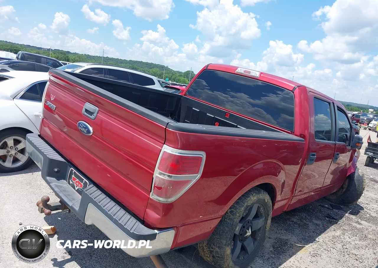 2010 Ford F-150 Fx2 Sport-Xl-Xlt VIN:1FTEW1C83AFC91166 - 12