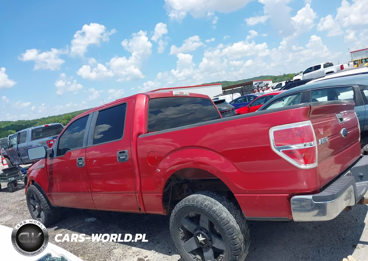 2010 Ford F-150 Fx2 Sport-Xl-Xlt VIN:1FTEW1C83AFC91166 - 13