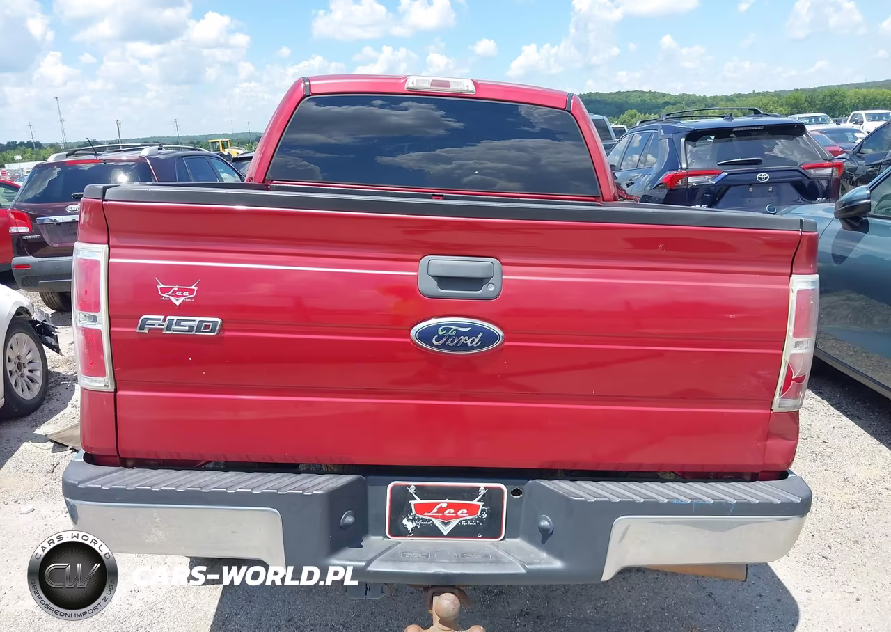 2010 Ford F-150 Fx2 Sport-Xl-Xlt VIN:1FTEW1C83AFC91166 - 15
