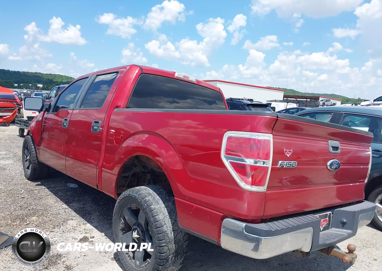 2010 Ford F-150 Fx2 Sport-Xl-Xlt VIN:1FTEW1C83AFC91166 - 3