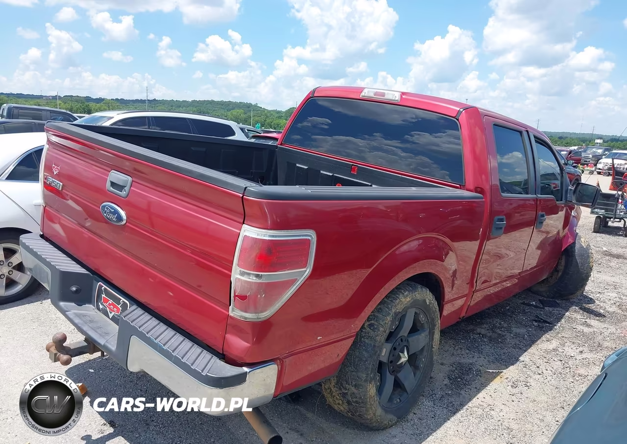 2010 Ford F-150 Fx2 Sport-Xl-Xlt VIN:1FTEW1C83AFC91166 - 4