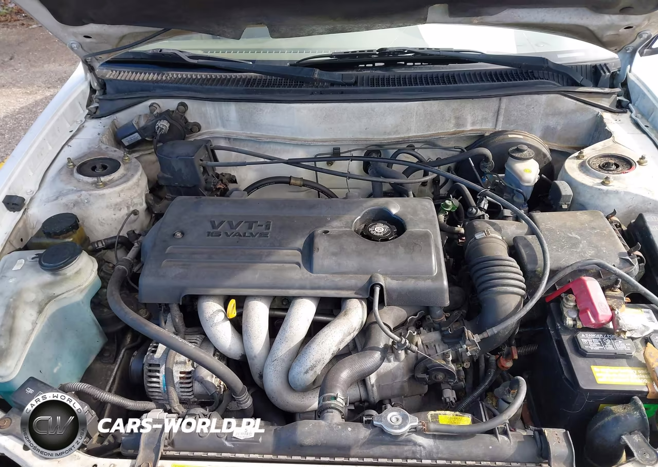 2001 Toyota Corolla Le VIN:1NXBR12E51Z563869 - 10