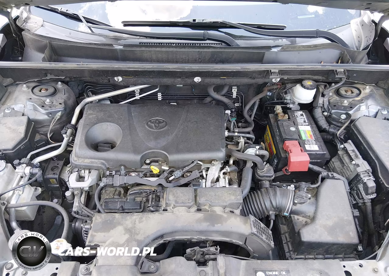 2019 Toyota Rav4 Le VIN:JTMH1RFV9KD506669 - 10