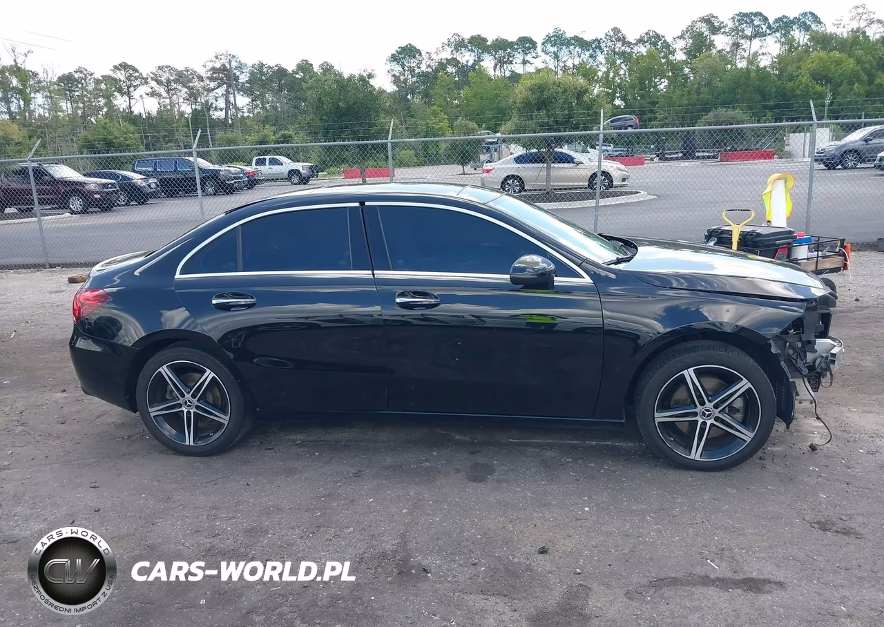 2019 Mercedes-Benz A 220 4Matic VIN:WDD3G4FB1KW024175 - 13
