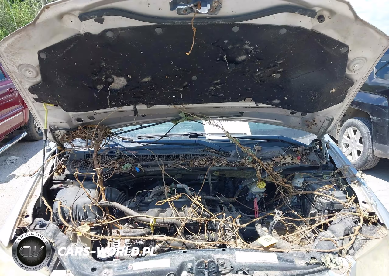 2008 Dodge Grand Caravan Sxt VIN:1D8HN54P98B170089 - 10