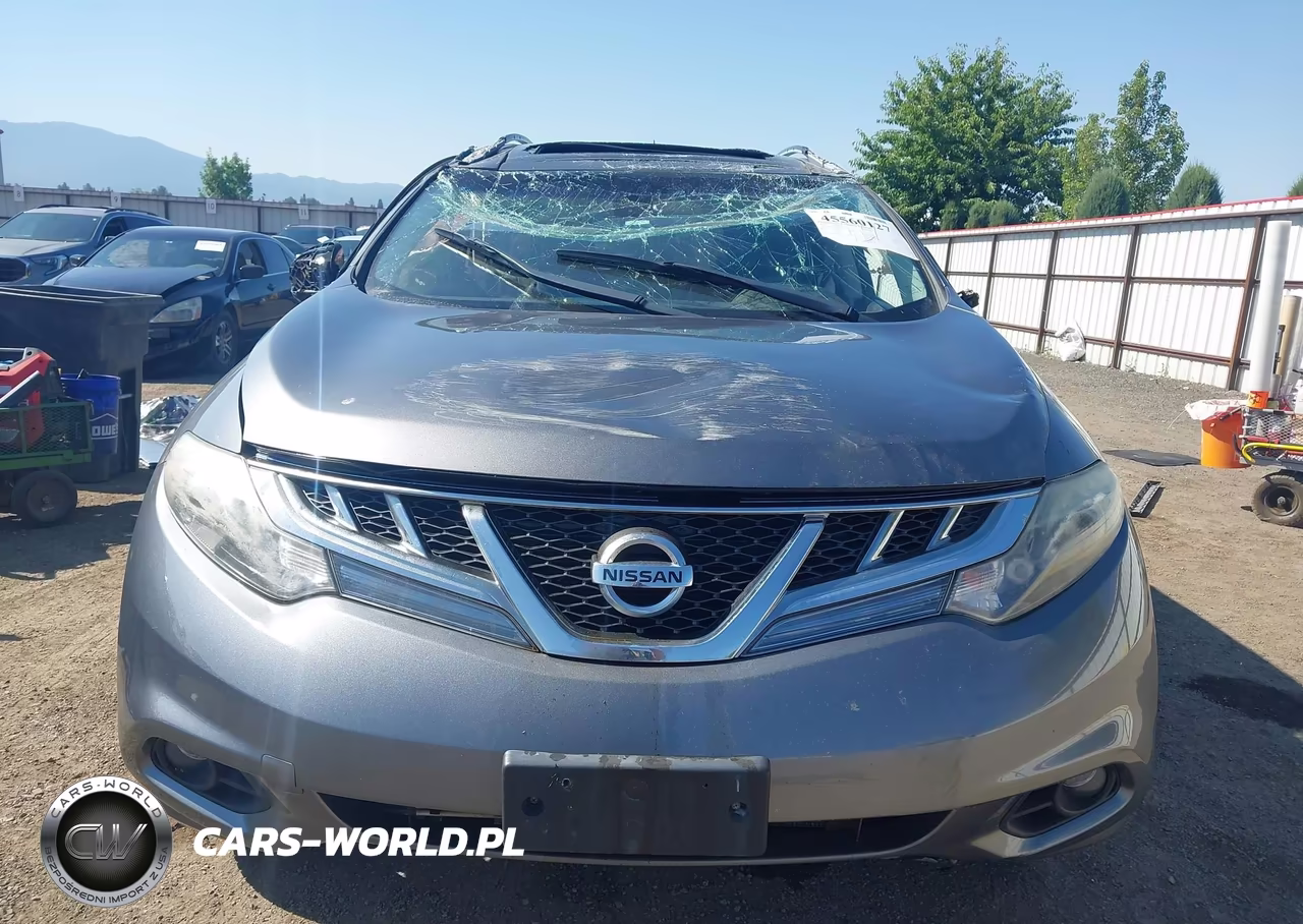 2013 Nissan Murano Le VIN:JN8AZ1MW9DW303252 - 13