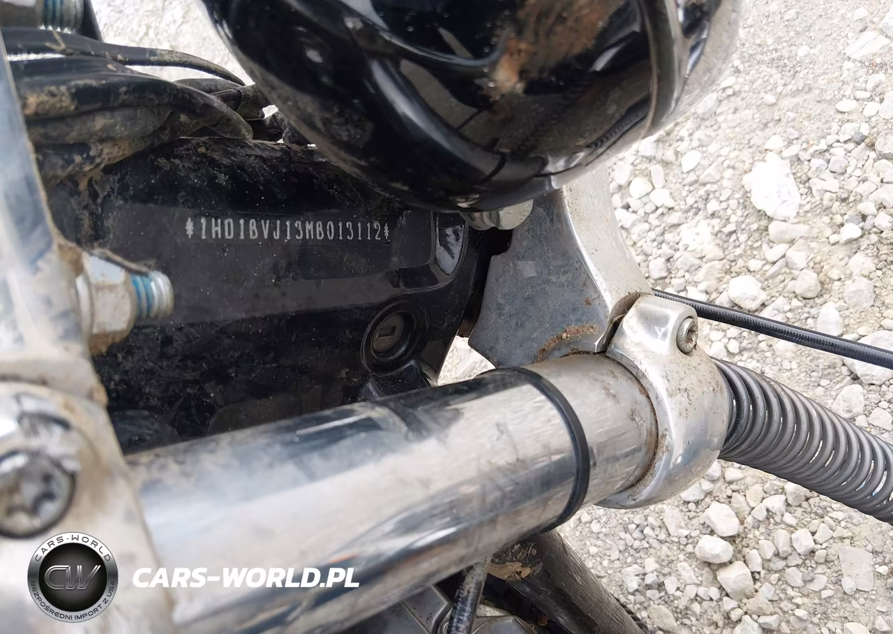 2021 Harley-Davidson Fxst VIN:1HD1BVJ13MB013112 - 10