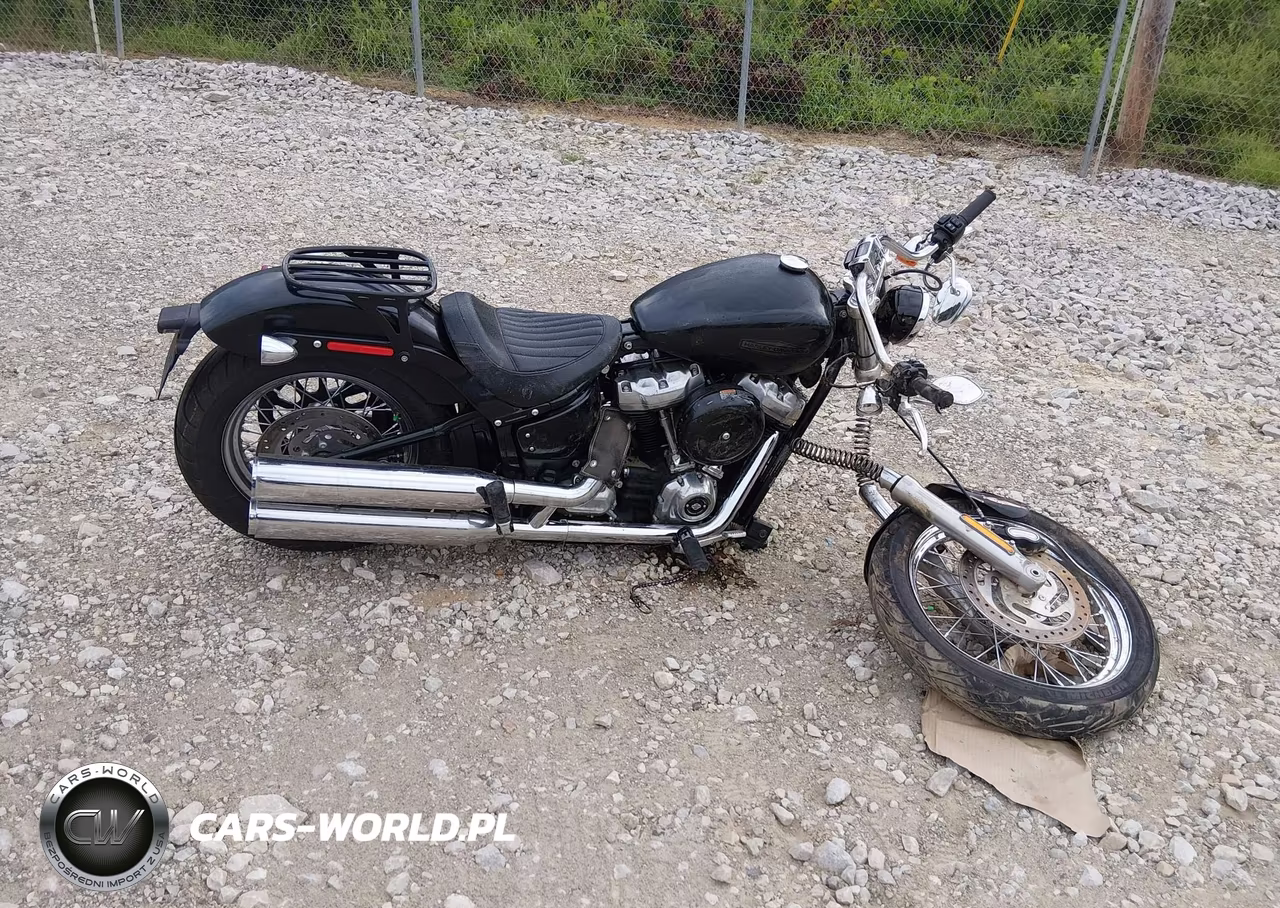 2021 Harley-Davidson Fxst VIN:1HD1BVJ13MB013112 - 12