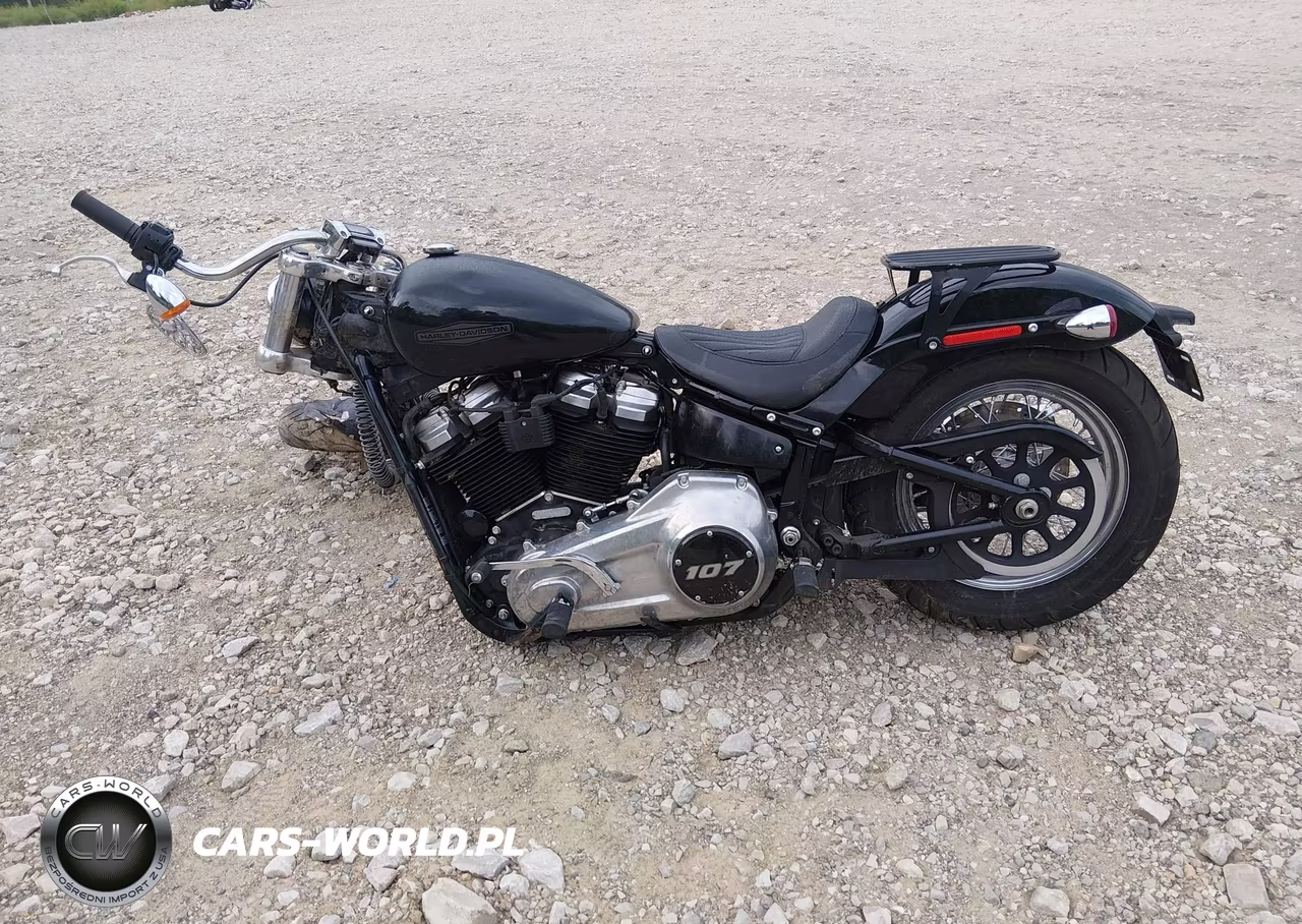 2021 Harley-Davidson Fxst VIN:1HD1BVJ13MB013112 - 13