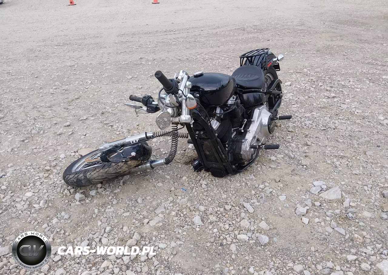 2021 Harley-Davidson Fxst VIN:1HD1BVJ13MB013112 - 2