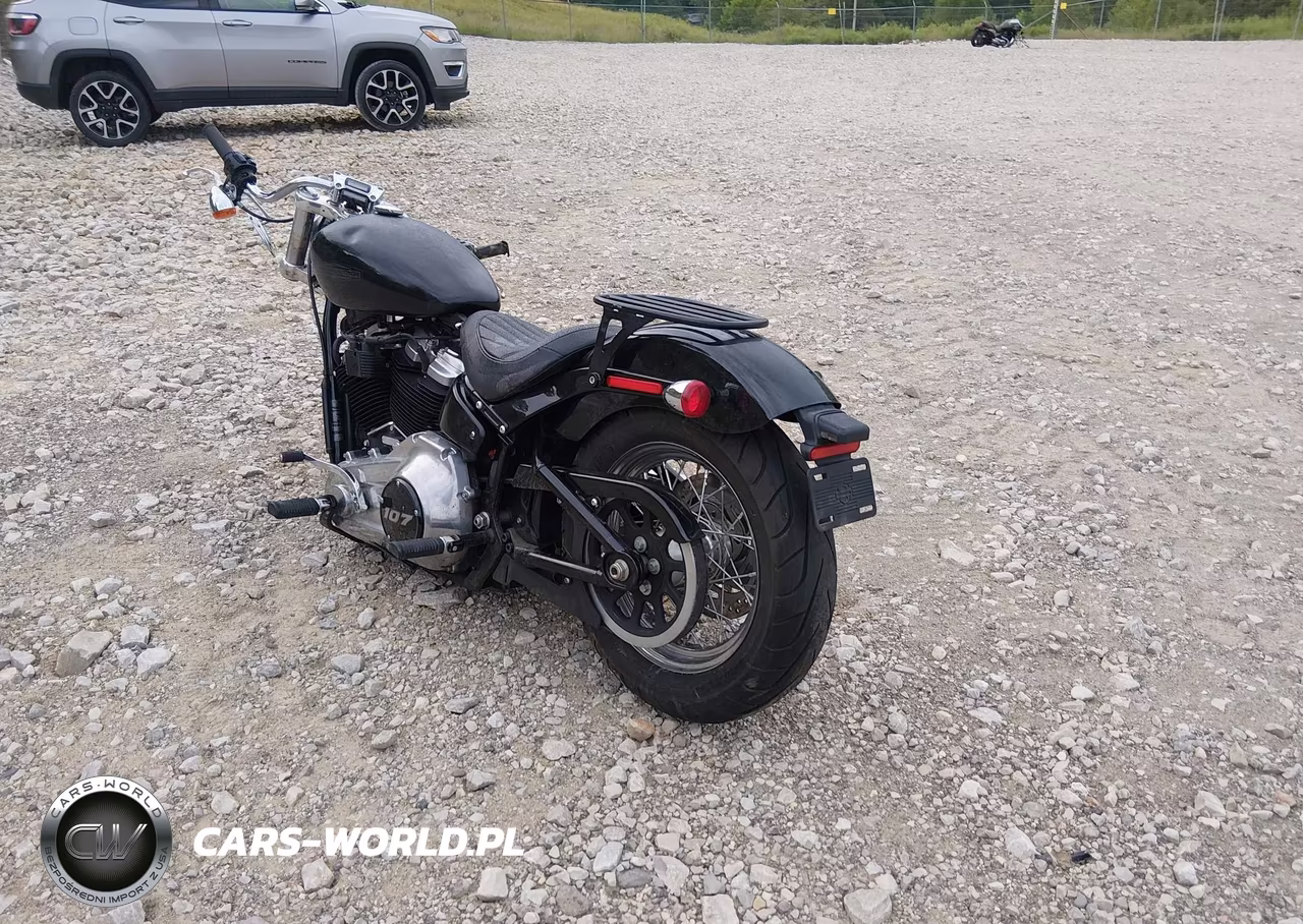 2021 Harley-Davidson Fxst VIN:1HD1BVJ13MB013112 - 3