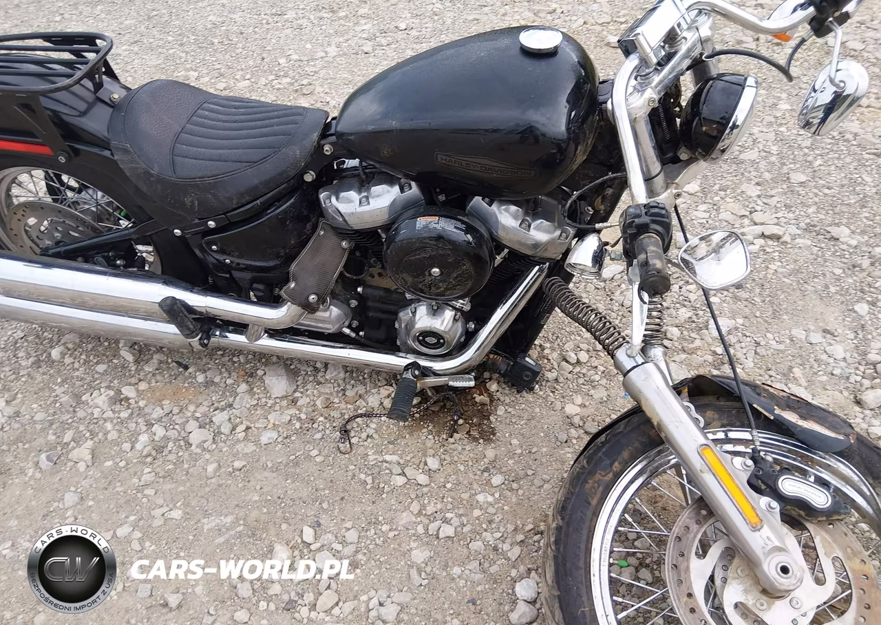2021 Harley-Davidson Fxst VIN:1HD1BVJ13MB013112 - 8
