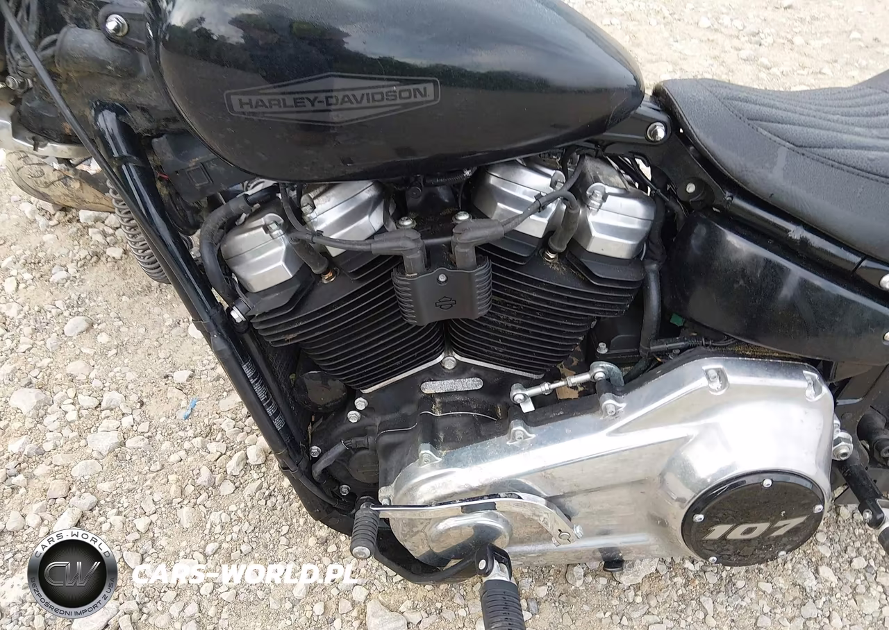 2021 Harley-Davidson Fxst VIN:1HD1BVJ13MB013112 - 9