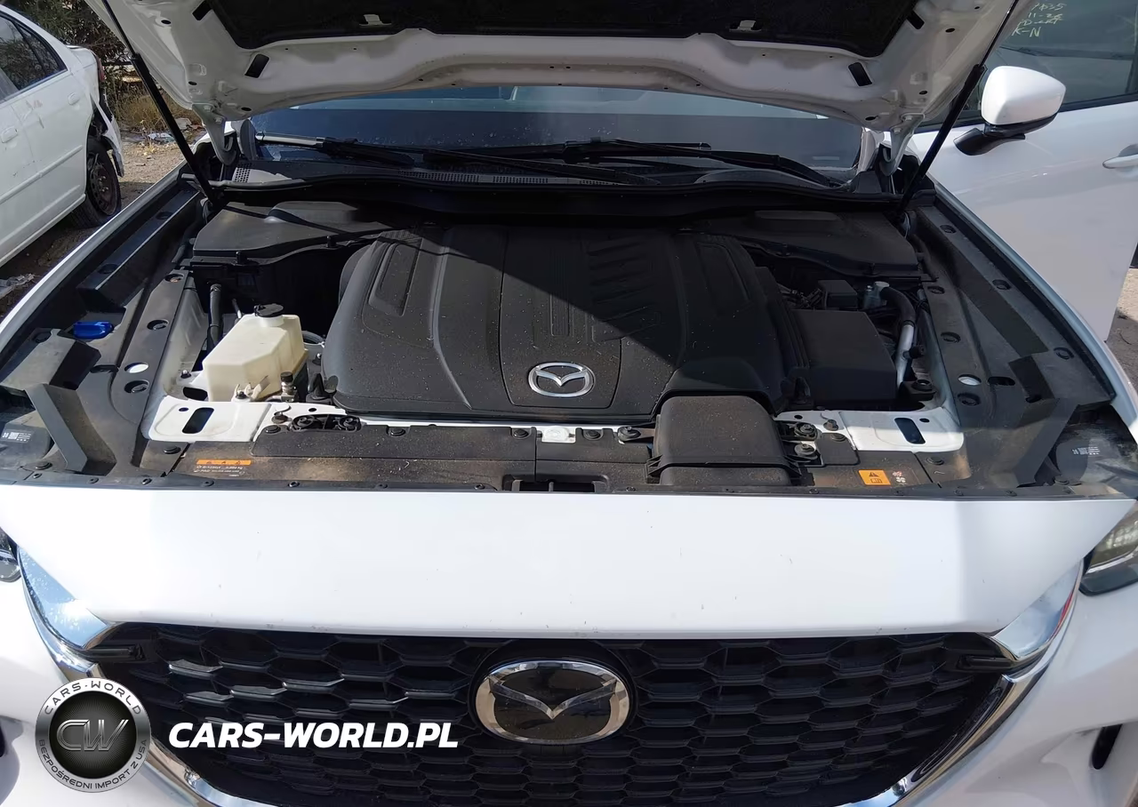 2024 Mazda Cx-90 3.3 Turbo Select VIN:JM3KKAHD1R1186078 - 10