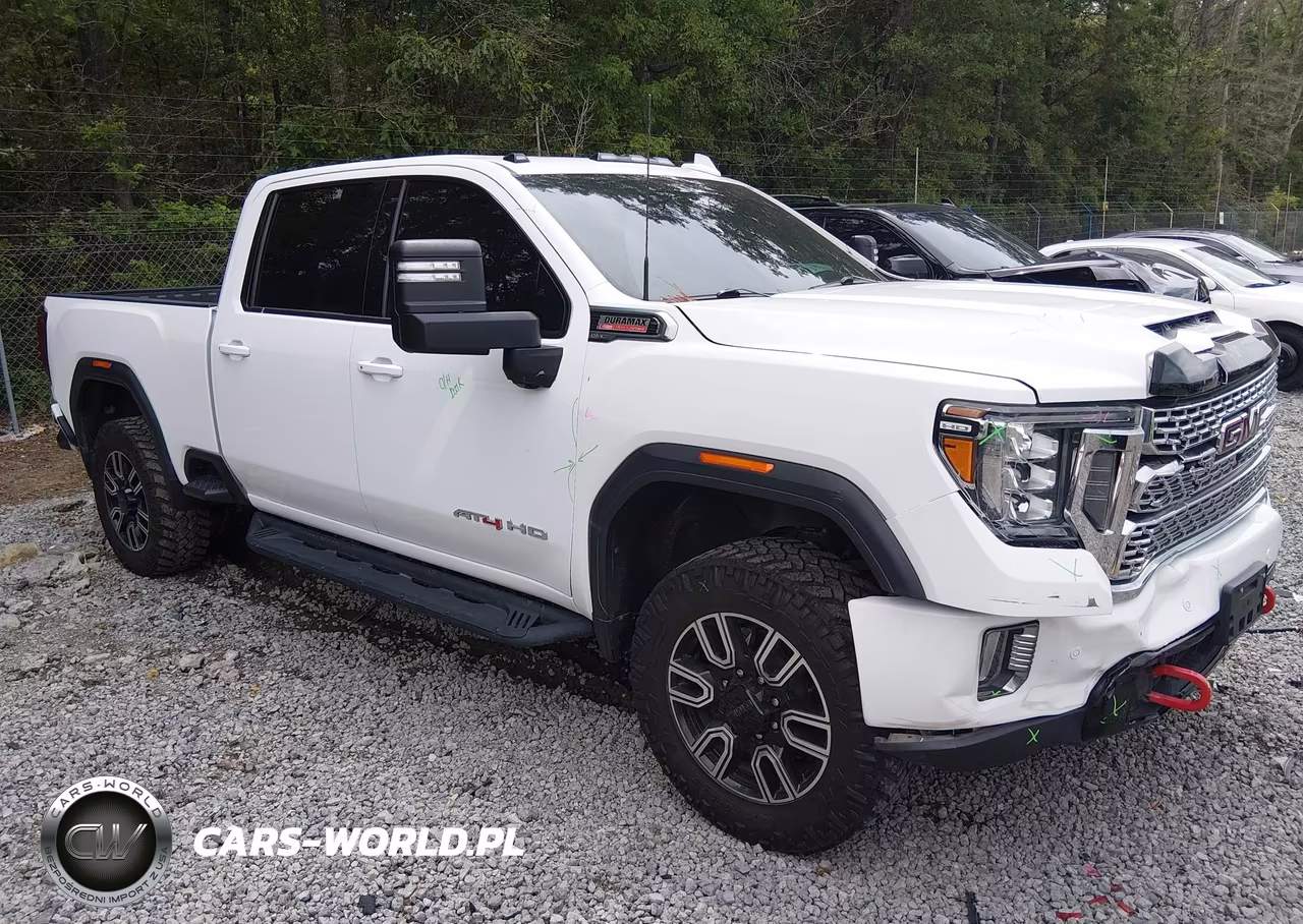2020 GMC Sierra 3500Hd 4Wd Standard Bed At4 VIN:1GT49VEY7LF244894 - 1