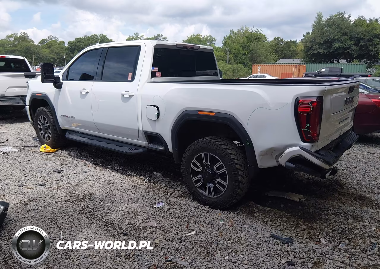 2020 GMC Sierra 3500Hd 4Wd Standard Bed At4 VIN:1GT49VEY7LF244894 - 3