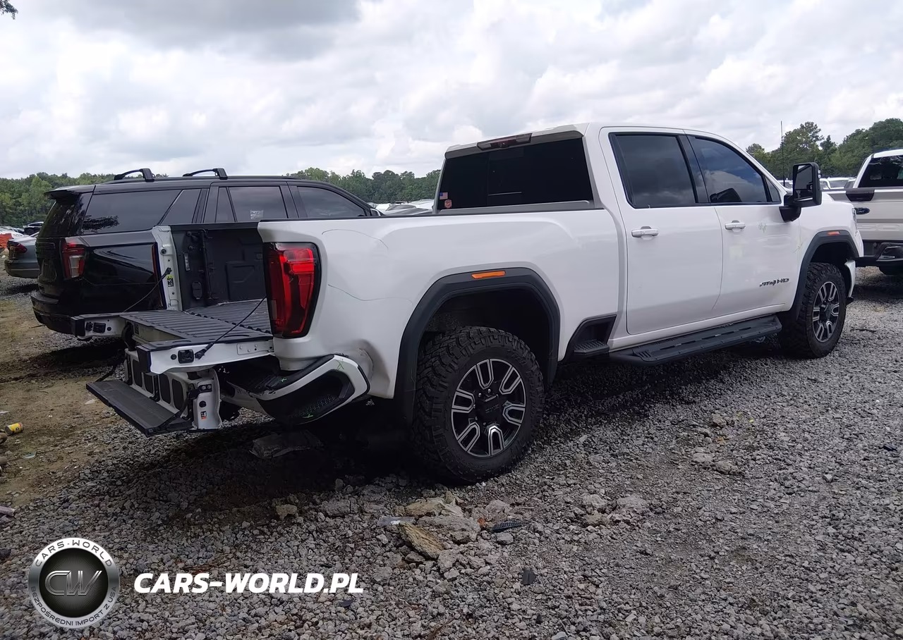 2020 GMC Sierra 3500Hd 4Wd Standard Bed At4 VIN:1GT49VEY7LF244894 - 4