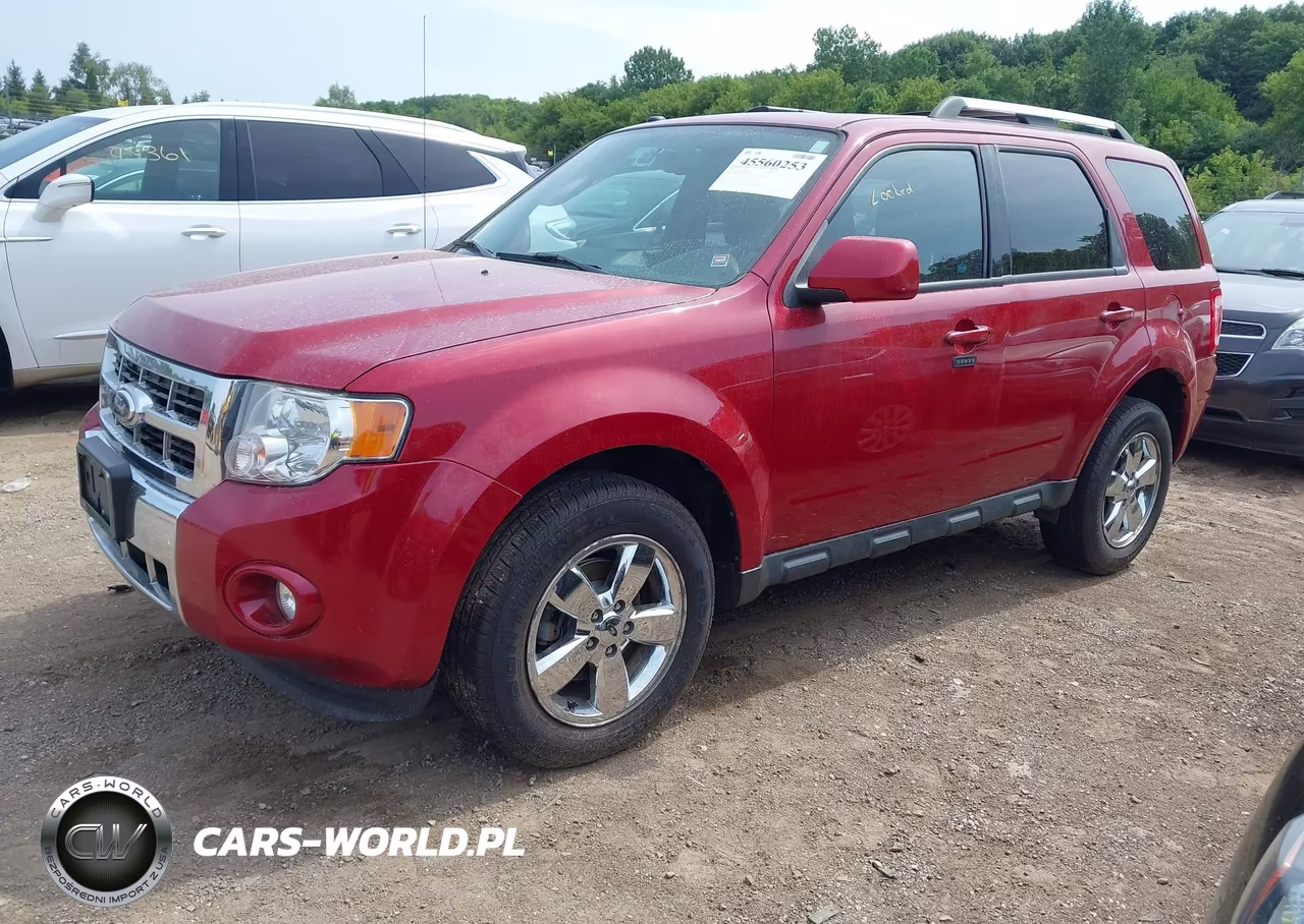 2011 Ford Escape Limited VIN:1FMCU9EGXBKA56784 - 2