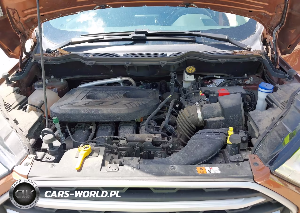 2018 Ford Ecosport Se VIN:MAJ6P1ULXJC229131 - 10