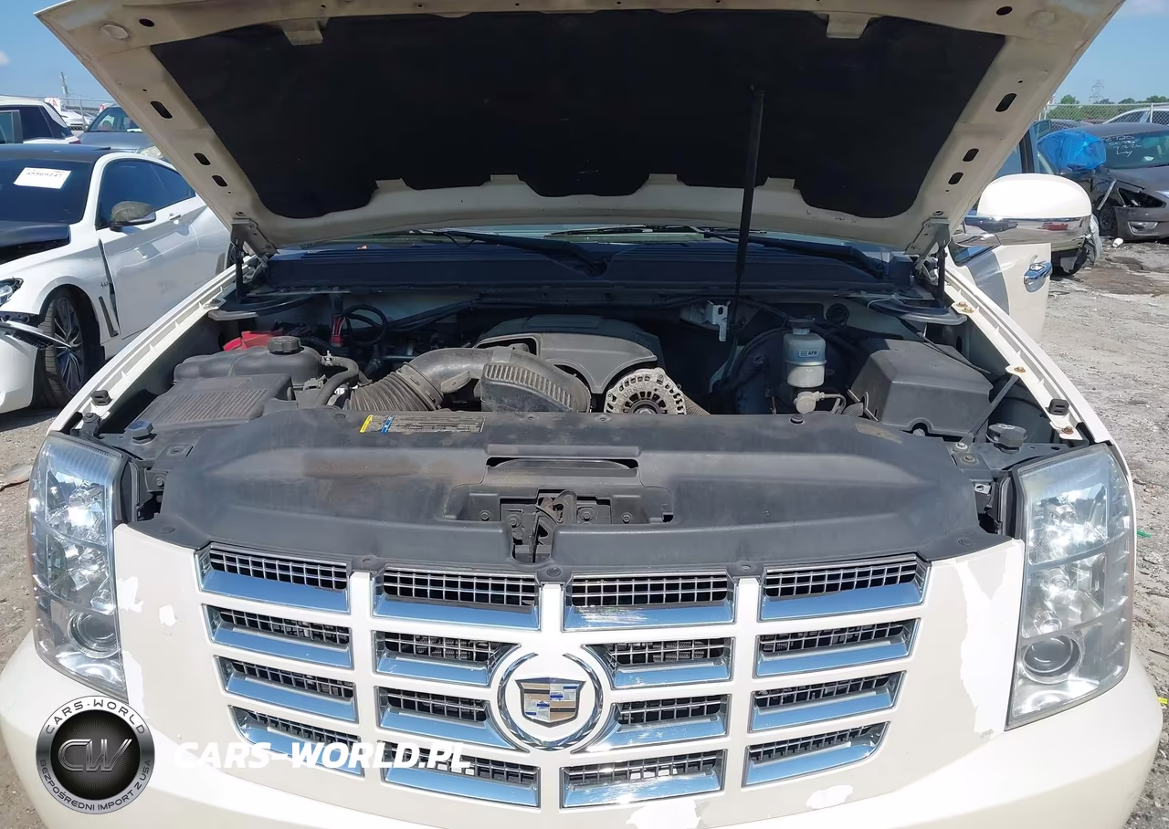 2010 Cadillac Escalade Luxury VIN:1GYUKBEF2AR270536 - 10