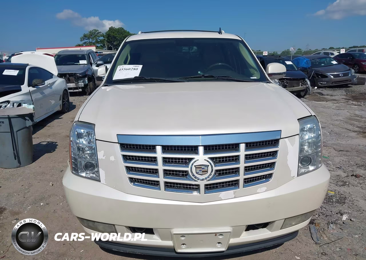 2010 Cadillac Escalade Luxury VIN:1GYUKBEF2AR270536 - 12