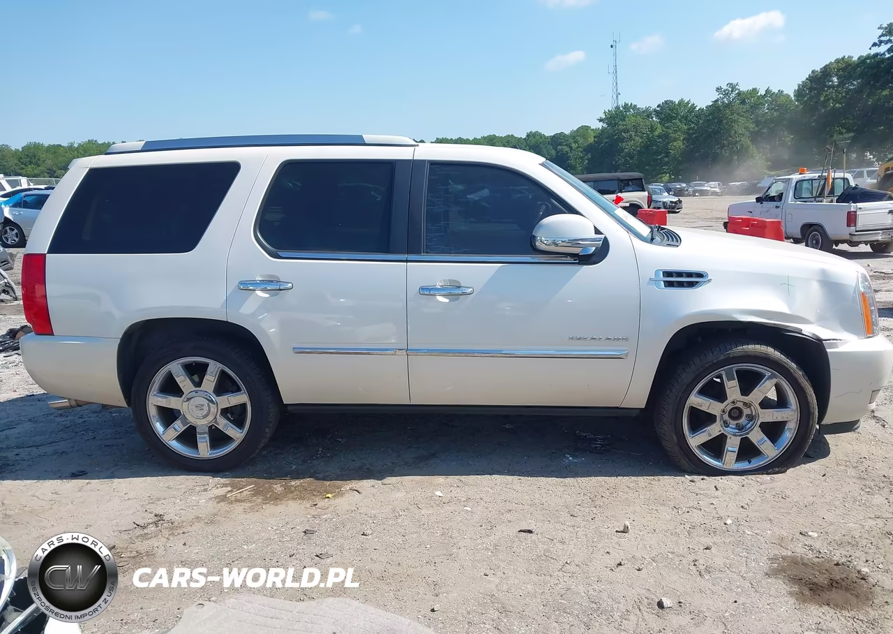 2010 Cadillac Escalade Luxury VIN:1GYUKBEF2AR270536 - 13