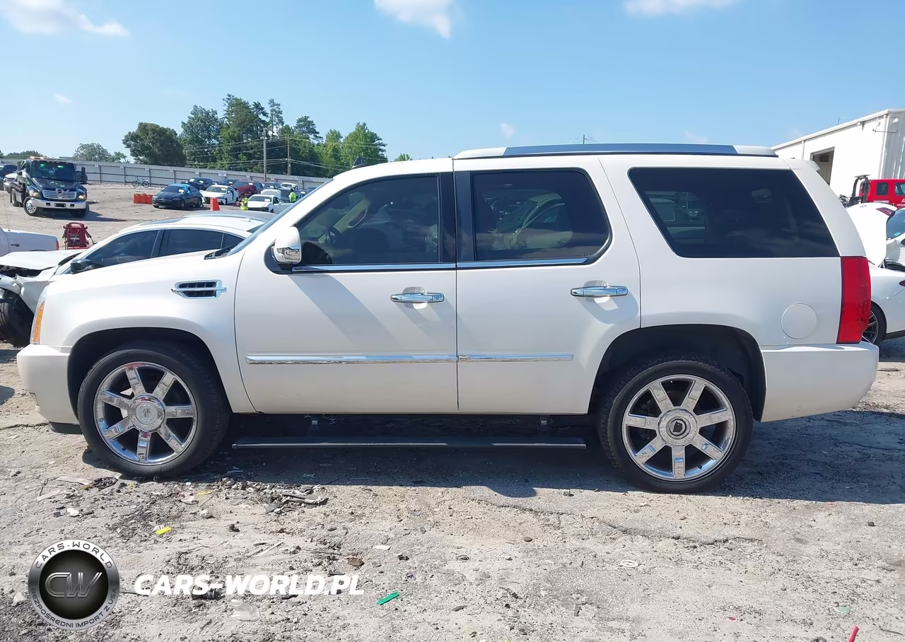 2010 Cadillac Escalade Luxury VIN:1GYUKBEF2AR270536 - 14