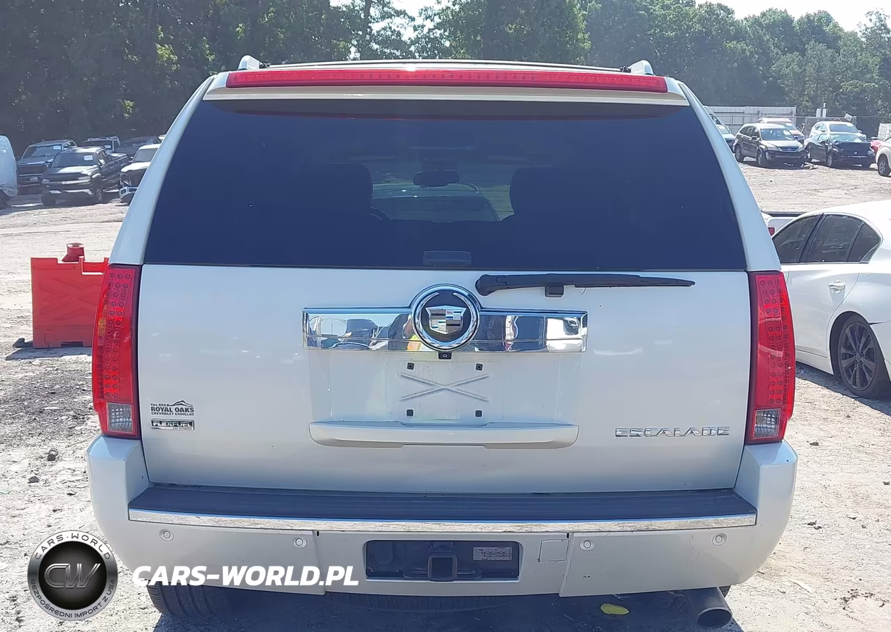 2010 Cadillac Escalade Luxury VIN:1GYUKBEF2AR270536 - 16