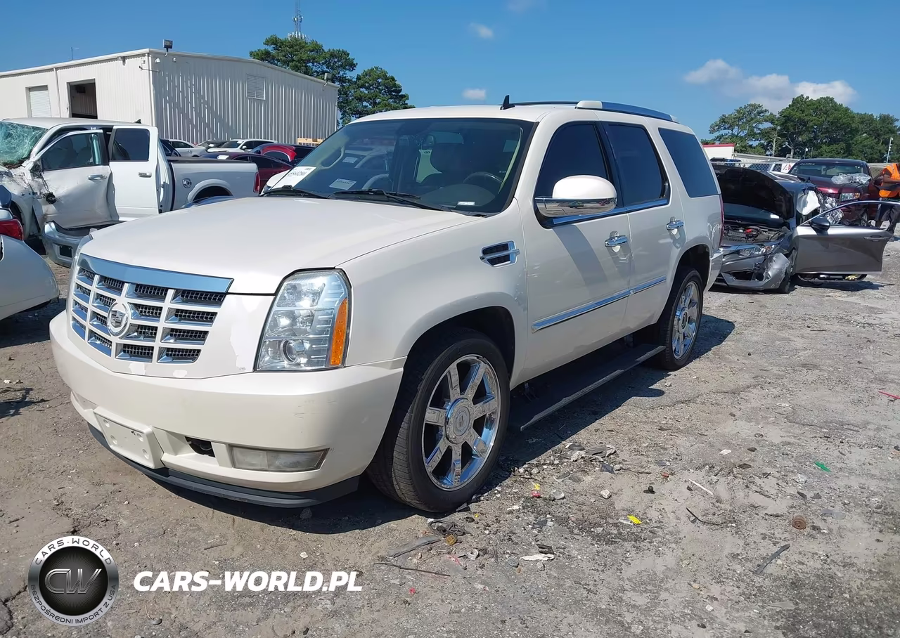 2010 Cadillac Escalade Luxury VIN:1GYUKBEF2AR270536 - 2