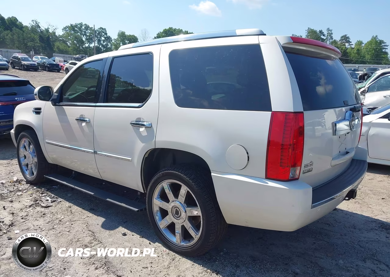 2010 Cadillac Escalade Luxury VIN:1GYUKBEF2AR270536 - 3