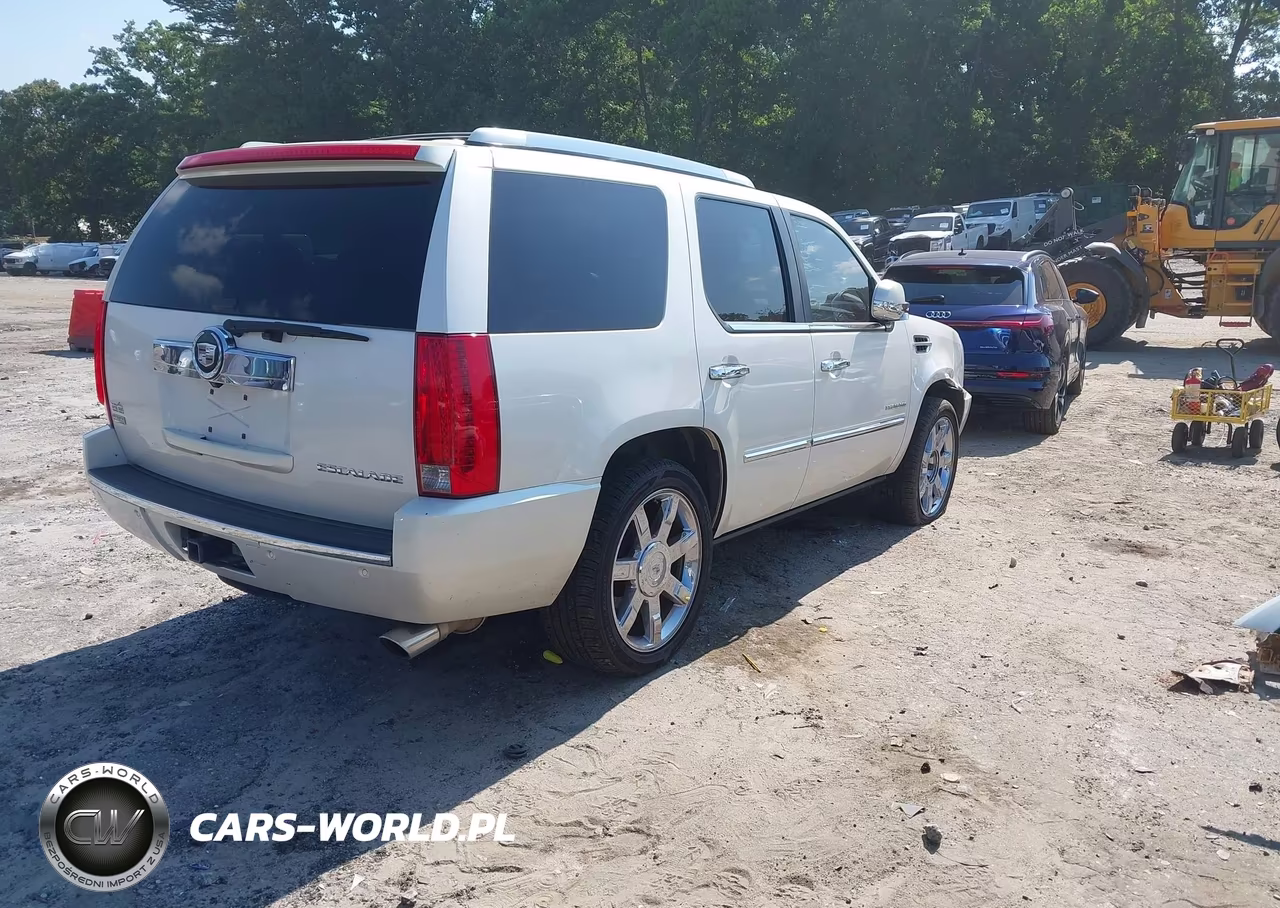 2010 Cadillac Escalade Luxury VIN:1GYUKBEF2AR270536 - 4