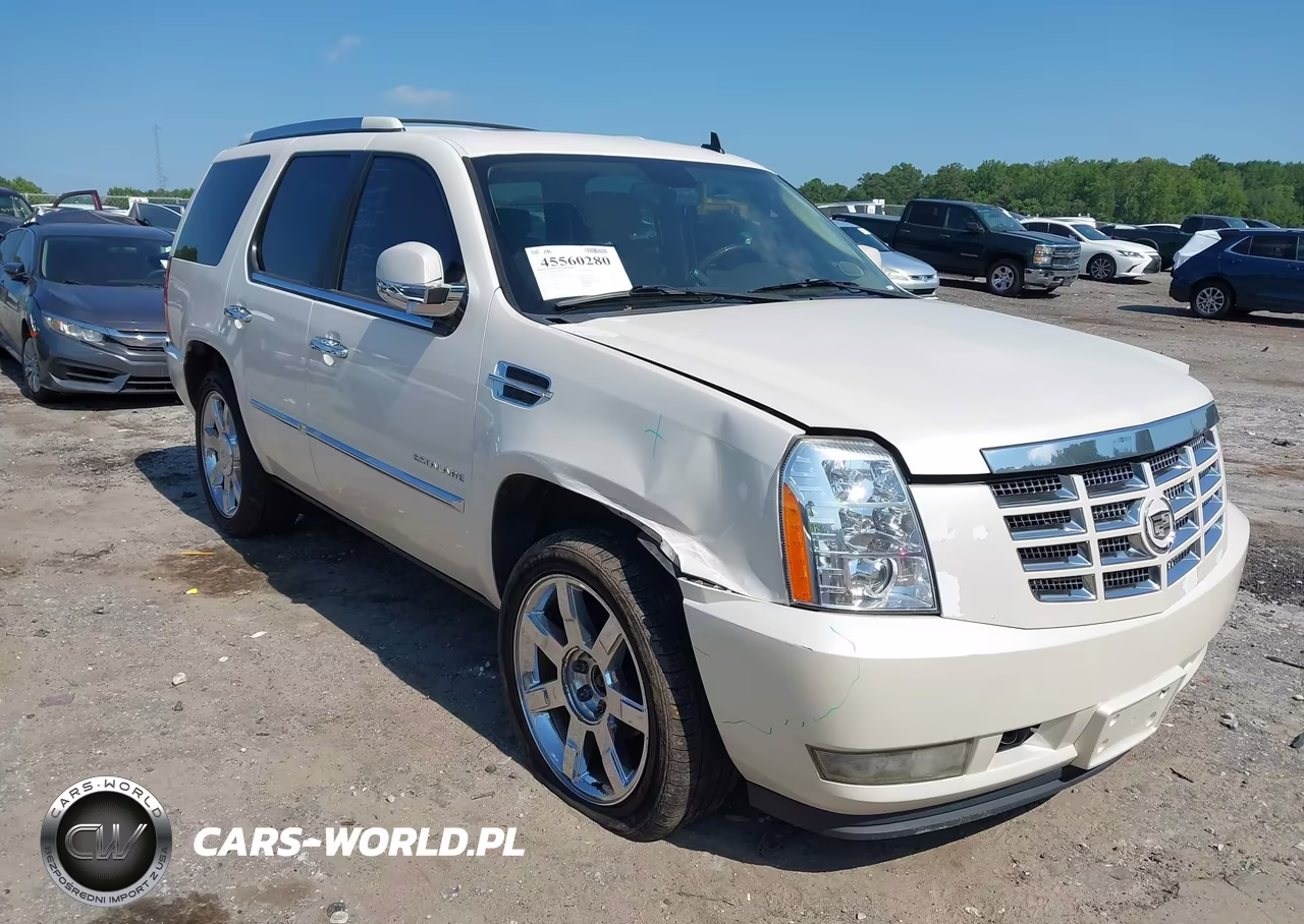 2010 Cadillac Escalade Luxury VIN:1GYUKBEF2AR270536 - 6