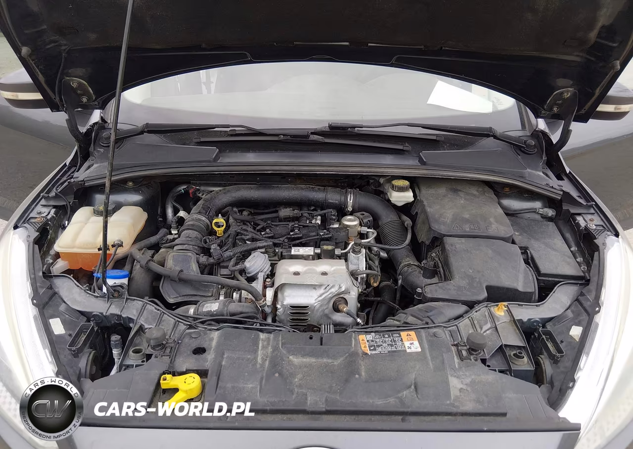 2017 Ford Focus Se VIN:1FADP3FEXHL316099 - 10