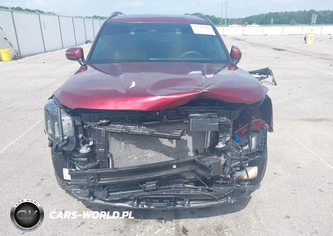 2024 Kia Telluride Ex X-Line VIN:5XYP3DGC2RG538459 - 13