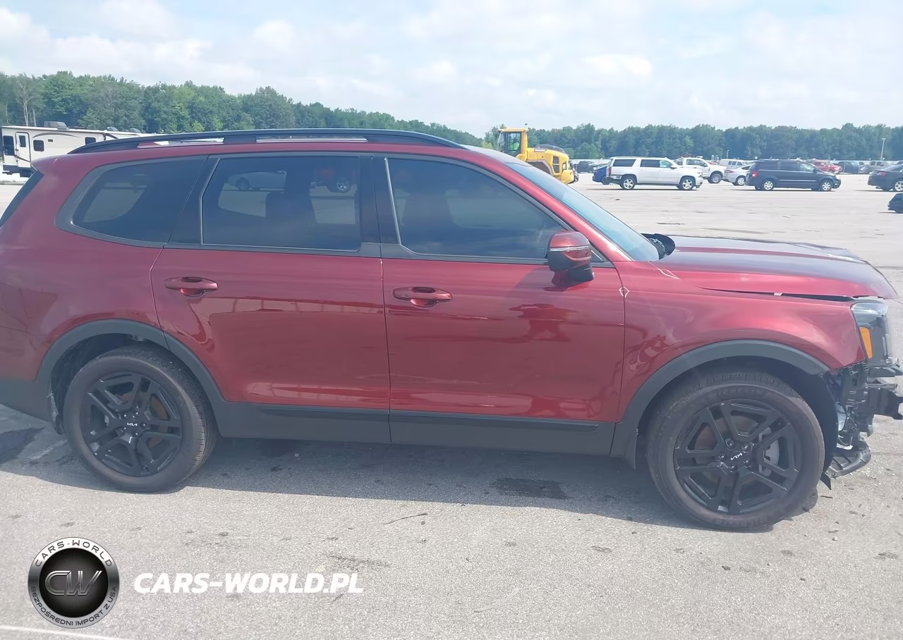 2024 Kia Telluride Ex X-Line VIN:5XYP3DGC2RG538459 - 14