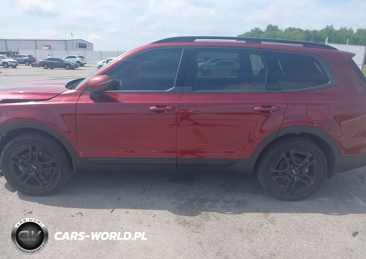 2024 Kia Telluride Ex X-Line VIN:5XYP3DGC2RG538459 - 15