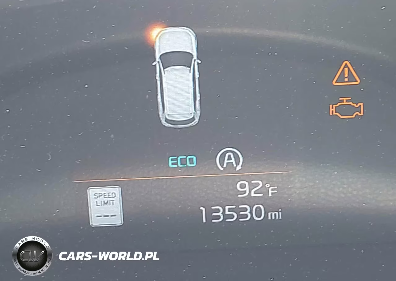 2024 Kia Telluride Ex X-Line VIN:5XYP3DGC2RG538459 - 16