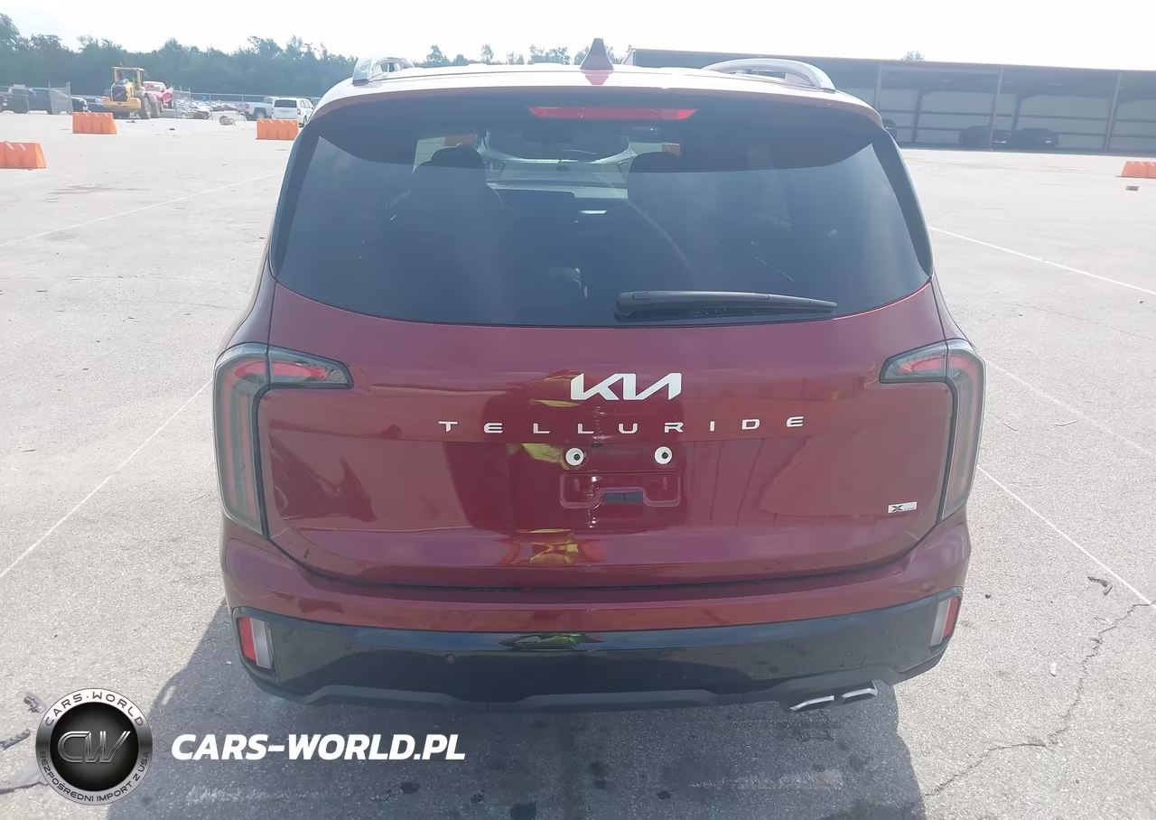 2024 Kia Telluride Ex X-Line VIN:5XYP3DGC2RG538459 - 17