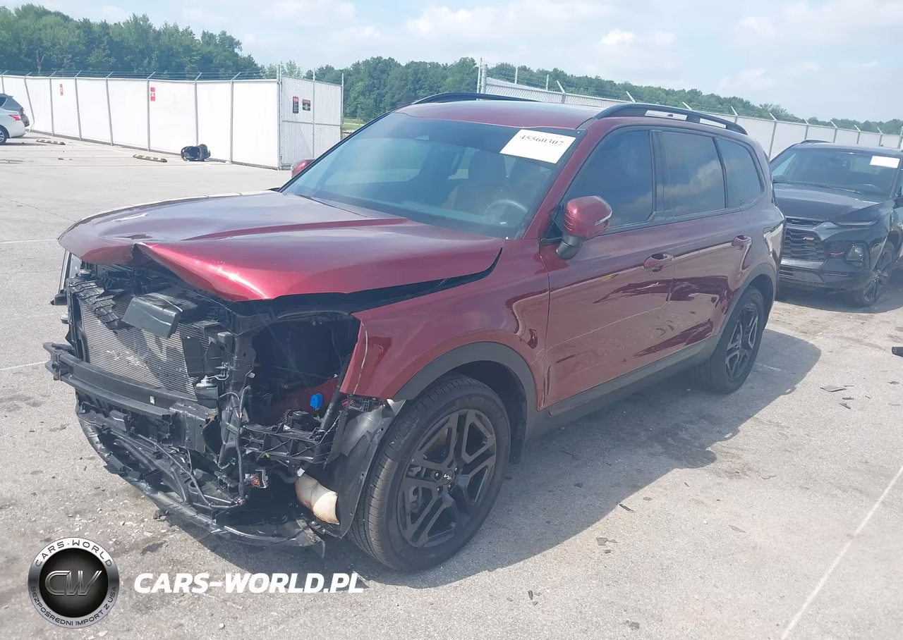 2024 Kia Telluride Ex X-Line VIN:5XYP3DGC2RG538459 - 2