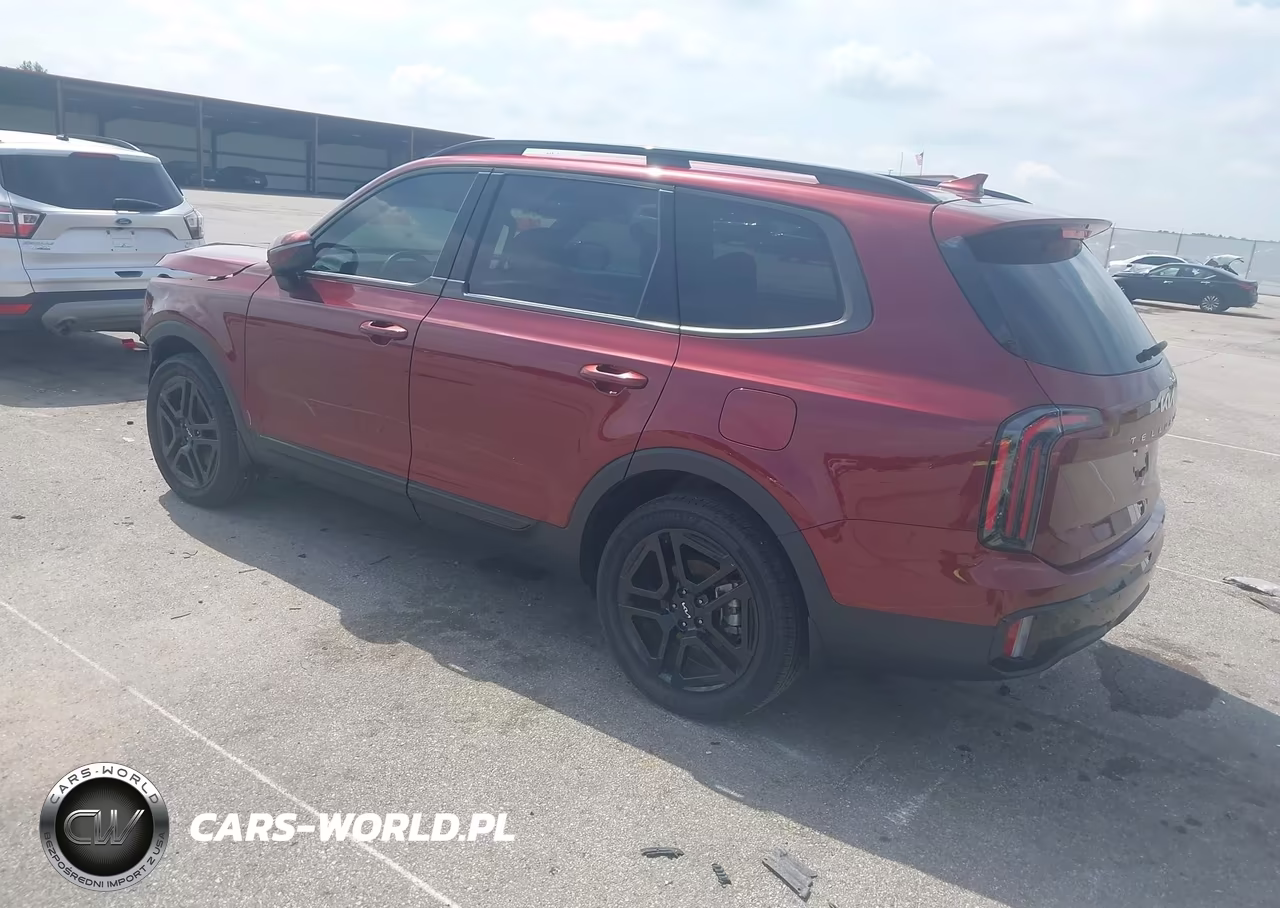 2024 Kia Telluride Ex X-Line VIN:5XYP3DGC2RG538459 - 3