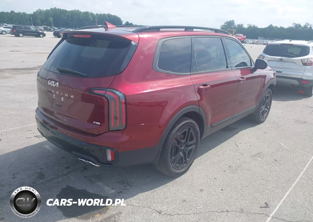 2024 Kia Telluride Ex X-Line VIN:5XYP3DGC2RG538459 - 4