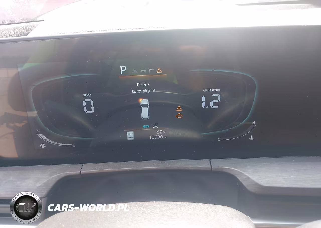 2024 Kia Telluride Ex X-Line VIN:5XYP3DGC2RG538459 - 7